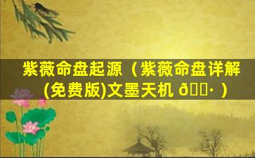 紫薇命盘起源（紫薇命盘详解(免费版)文墨天机 🕷 ）